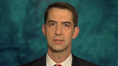 Republicans retaining Senate control would ‘put the brakes’ on radical left-wing agenda: Sen. Cotton