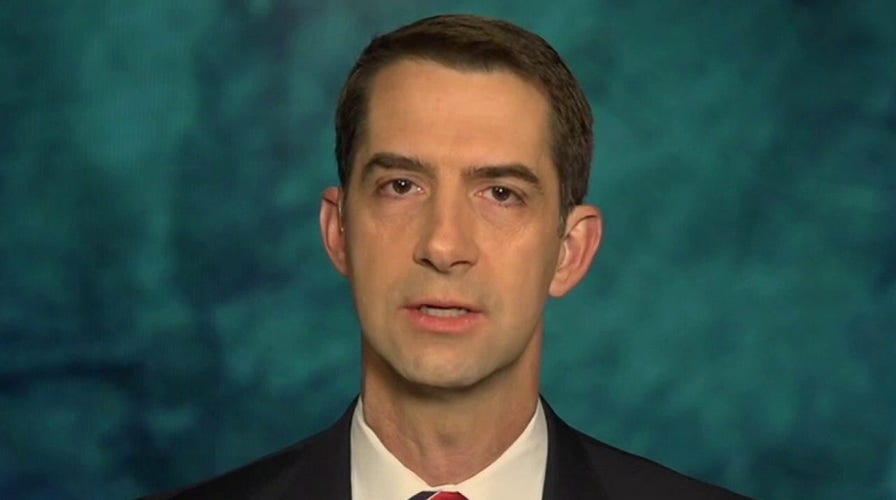 Republicans retaining Senate control would ‘put the brakes’ on radical left-wing agenda: Sen. Cotton