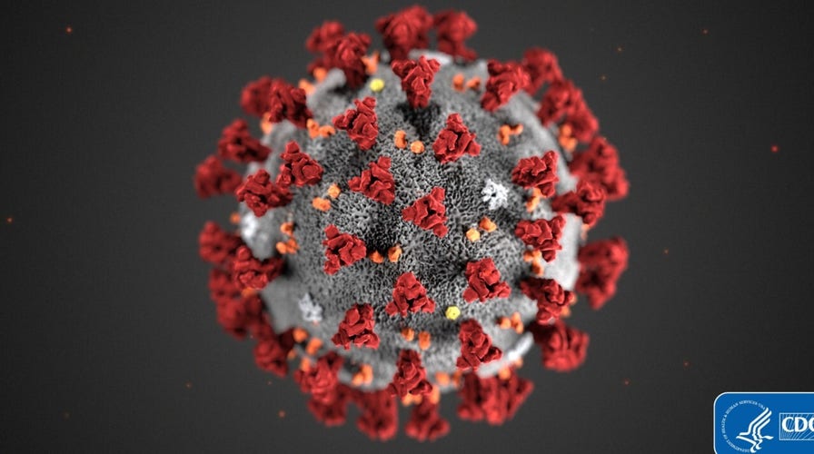 Coronavirus impact on federal government