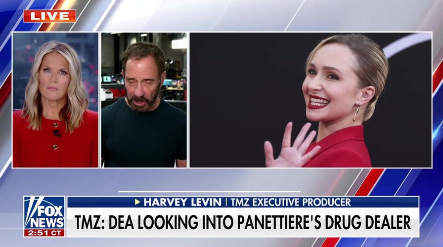 Hayden Panettiere may have taken fentanyl-laced oxycodone before death: TMZ