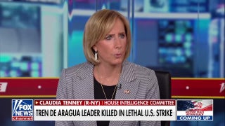 GOP lawmaker says it's 'really important' that US continues cartel crackdown