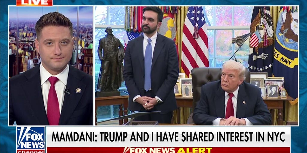 Must be 'on guard' if Mamdani's policies are as 'problematic as they have been': New York State assemblyman