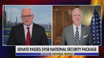 The congressional fight over aid to Ukraine and Israel 