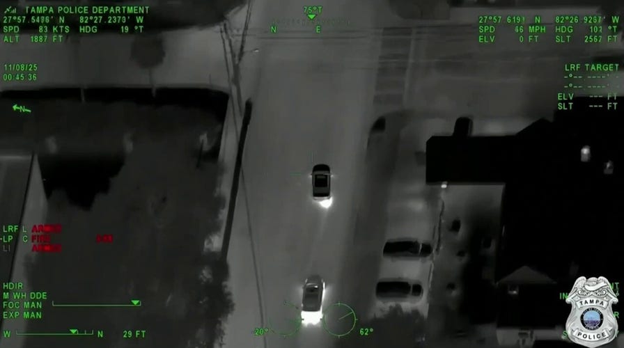 Car progressive   successful  constabulary  pursuit  crashes into assemblage  successful  Tampa