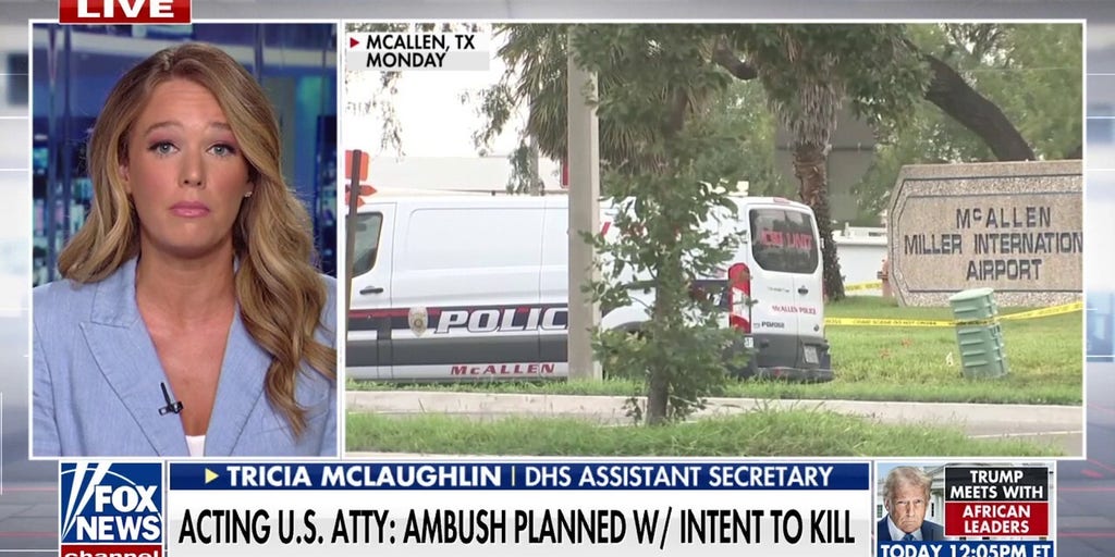 DHS accuses left-wing politicians, media of normalizing violence against ICE agents