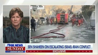 Israel’s actions on Iran has ‘foreclosed’ the potential of nuclear talks in the short-term: Democratic lawmaker