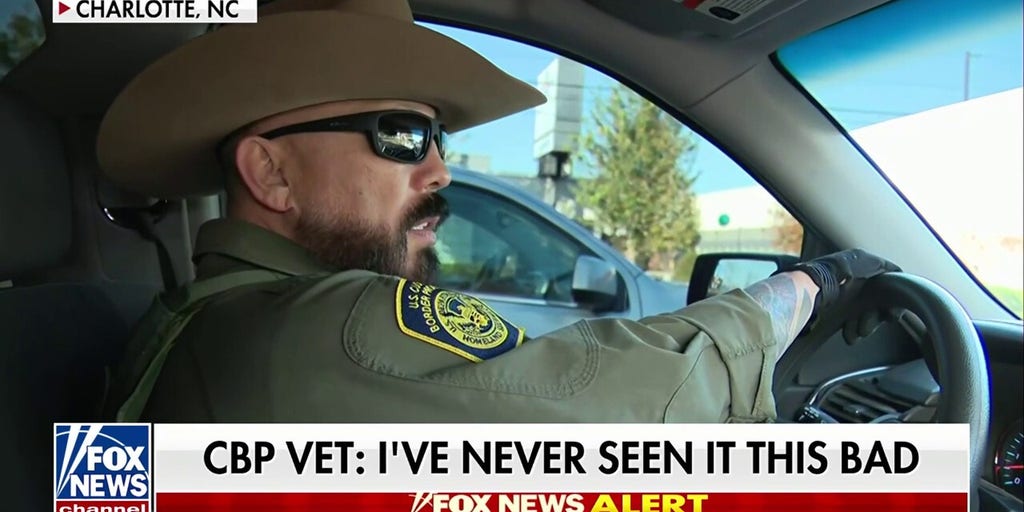 'I've never seen the level of craziness and violence': Customs and Border Patrol vet on agitators