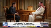 Saudi Arabian minister aims to be 'competitive' in a 'large and vibrant' US market