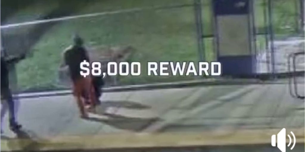 8k-reward-offered-in-search-for-2020-light-rail-stop-murder-fox-news