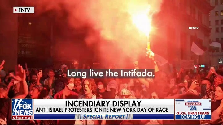 Anti-Israel protesters ignite New York 'day of rage'