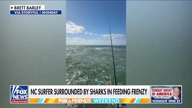 Pro surfer reveals how he kept his cool amid shark feeding frenzy