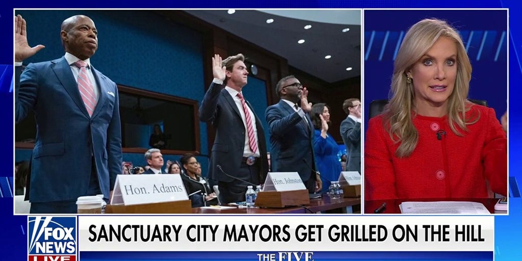 Democrats’ cursing is ‘unpersuasive,’ ‘undignified,’ says Dana Perino