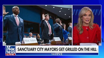 Democrats’ cursing is ‘unpersuasive,’ ‘undignified,’ says Dana Perino