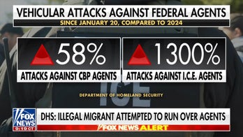 Deputy ICE director warns of ‘historic number’ of threats against agents