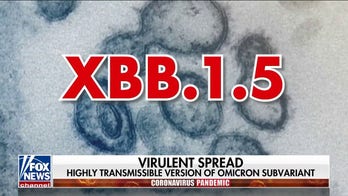 New highly contagious COVID variant spreading in US