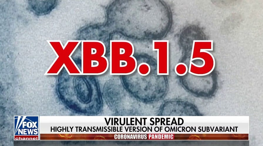 New highly contagious COVID variant spreading in US