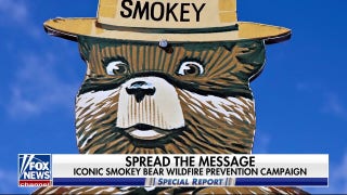 Smokey Bear celebrates 80th day   - Fox News