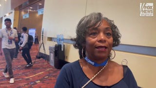 Democratic voters share their thoughts on the DNC so far - Fox News