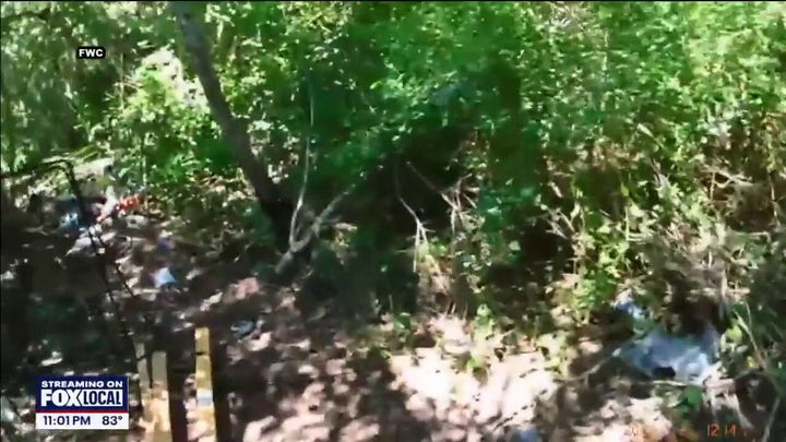 Body camera footage shows scene after deadly gator attack in Florida