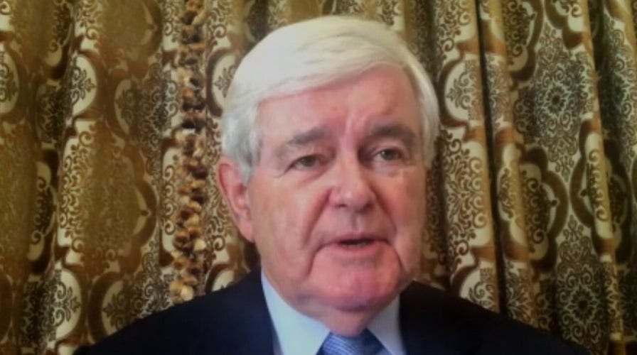 Newt Gingrich on how White House will determine next phase of COVID-19 response