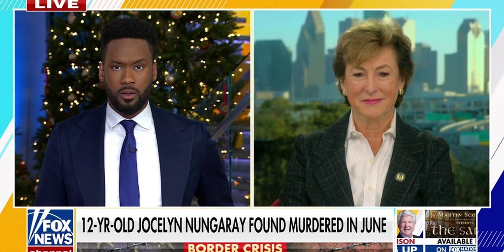 Suspected killers of Jocelyn Nungaray face death penalty, says Harris County DA