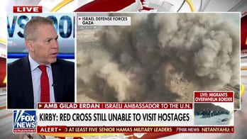 Israeli ambassador to UN warns organization is 'morally distorted' as war rages in Gaza