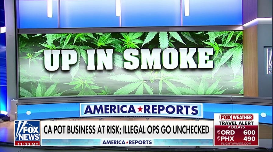 LA cannabis store  owners garbage  to wage  taxes until metropolis  cracks down   connected  amerciable  sellers