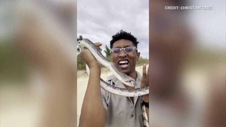 Georgia wildlife enthusiast tracks down rare pine snake