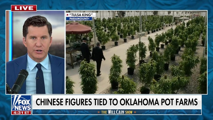 Chinese criminal networks linked to Oklahoma cannabis farms