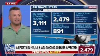 Travel expert warns of flight cuts as government shutdown stalemate continues