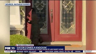 Alligator knocks on door at Florida home