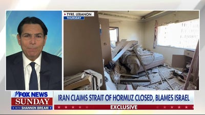 UN Ambassador Danny Danon vows retaliation after Hezbollah ambush kills 5 troops