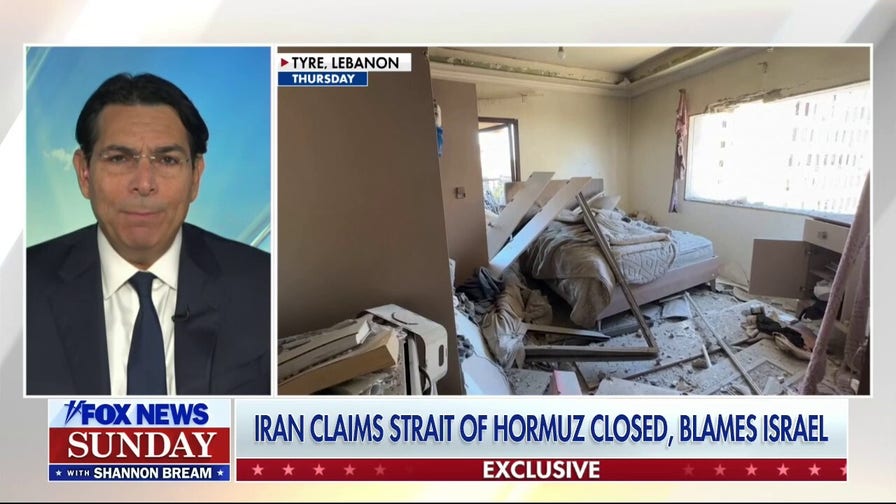 UN Ambassador Danny Danon vows retaliation after Hezbollah ambush kills 5 troops
