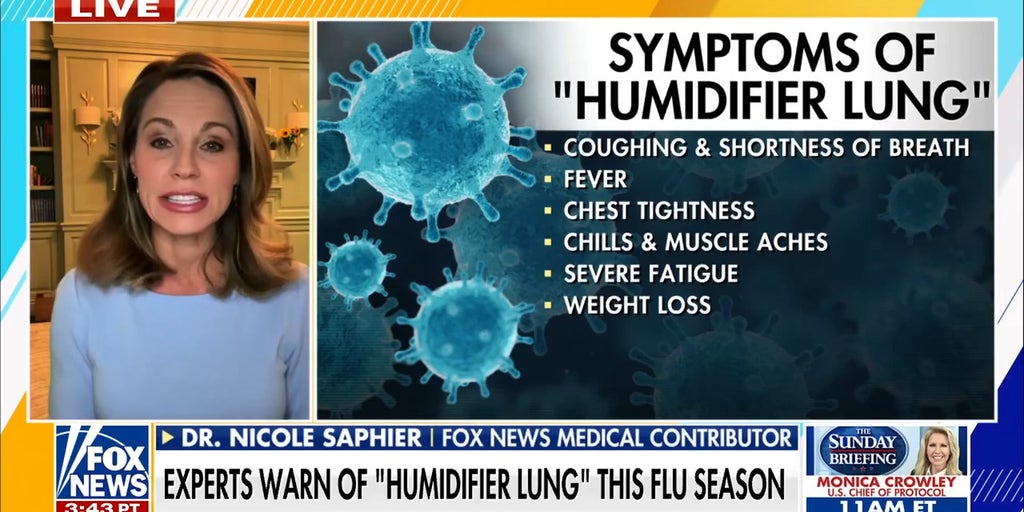 Experts warn against 'humidifier lung' this flu season