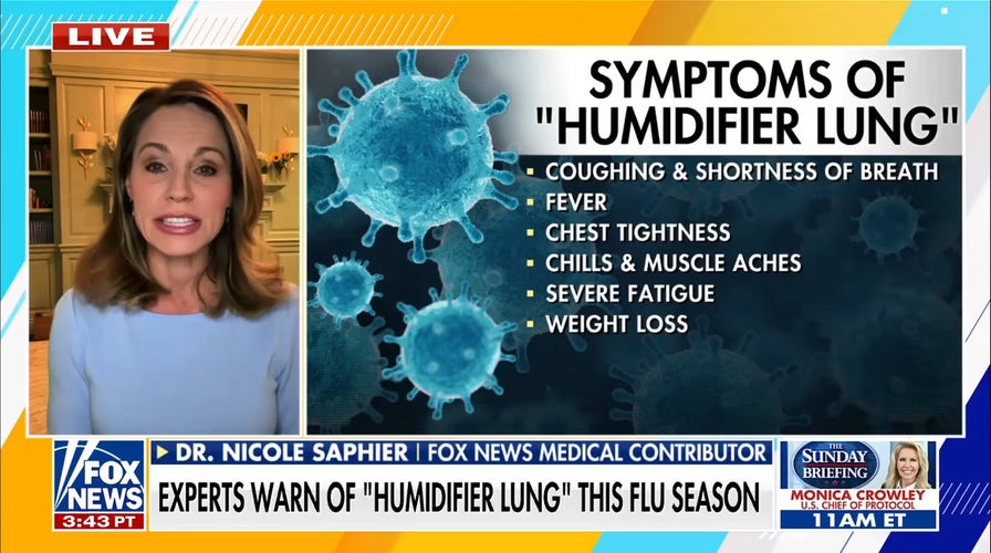Experts warn against 'humidifier lung' this flu season
