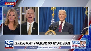 The Democratic Party's problems 'go beyond' Biden, says Dem lawmaker