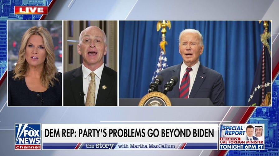 The Democratic Party's problems 'go beyond' Biden, says Dem lawmaker