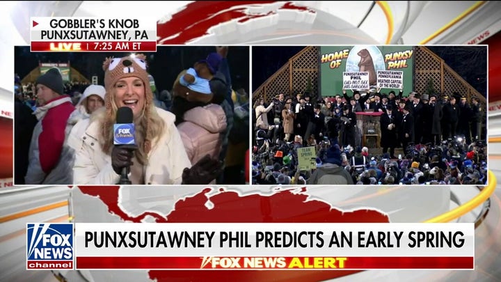 Punxsutawney Phil predicts early spring on Groundhog Day 2024
