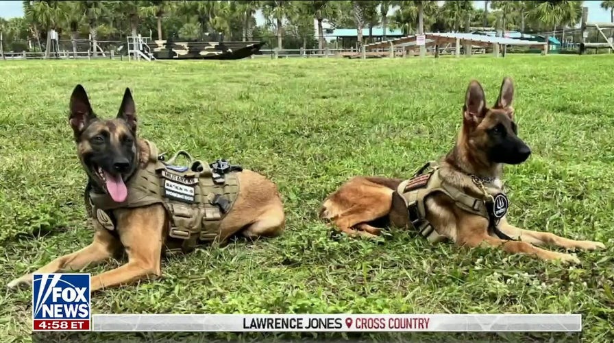 Lawrence Jones gives training update on dog Nala