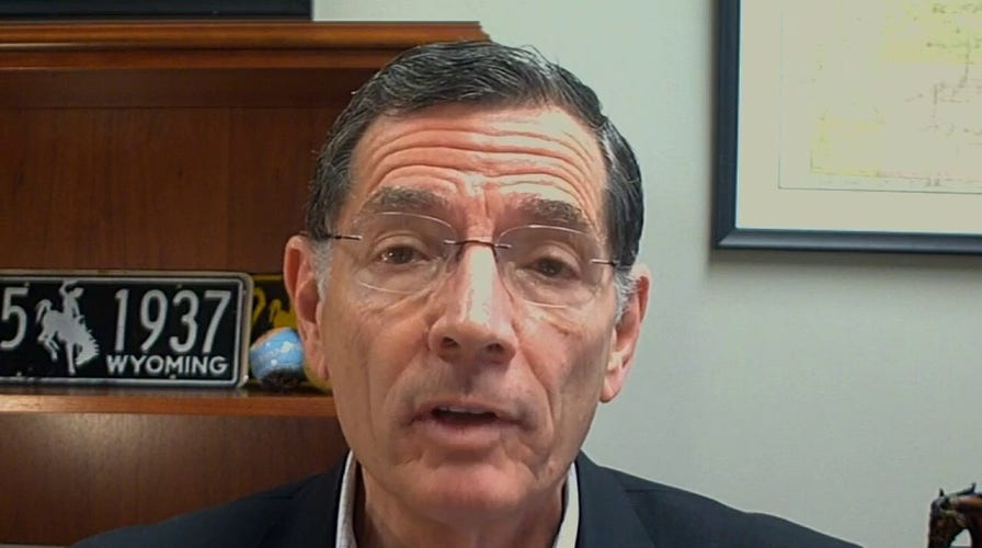Sen Barrasso: 'Phase 4' relief bill likely, will not include Pelosi's leftist wish list