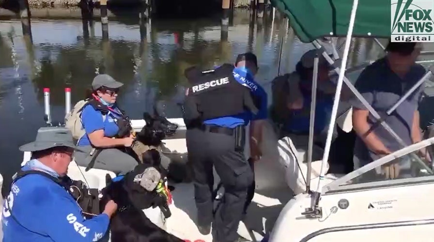 Private K-9 unit heading out to small island off Florida where Dog the Bounty Hunter got a tip about potential traces of Brian Laundrie