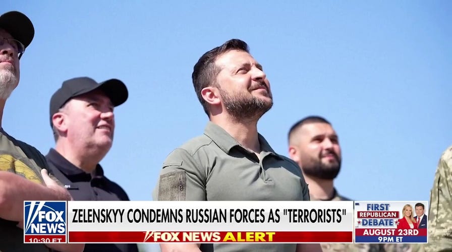 Zelenskyy brands Russian forces as 'terrorists' after latest strikes