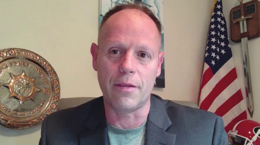 Ukraine nuclear plant takeover a ‘potential crime against humanity’: Gen. Blaine Holt