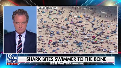 Swim in 'quiet areas' of the ocean to avoid shark attacks: Shark researcher