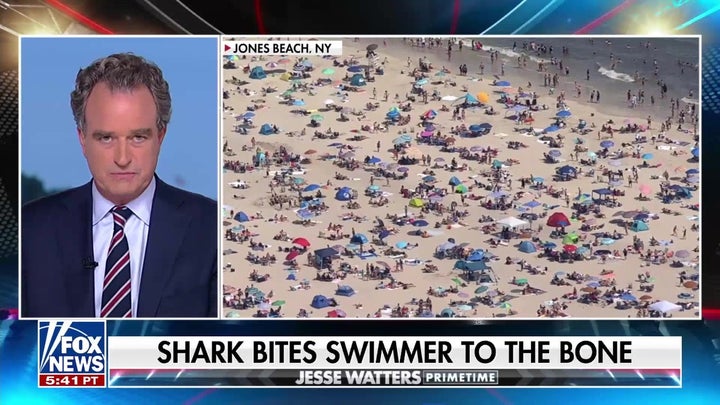 Swim in 'quiet areas' of the ocean to avoid shark attacks: Shark researcher