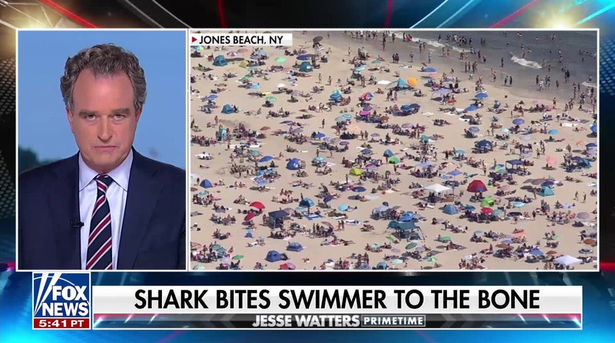 Swim in 'quiet areas' of the ocean to avoid shark attacks: Shark researcher