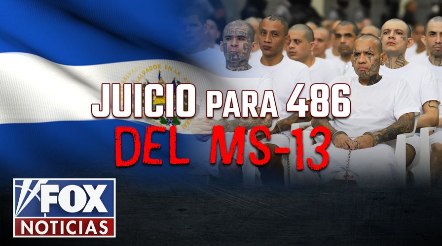 Juicio para 486 del MS-13