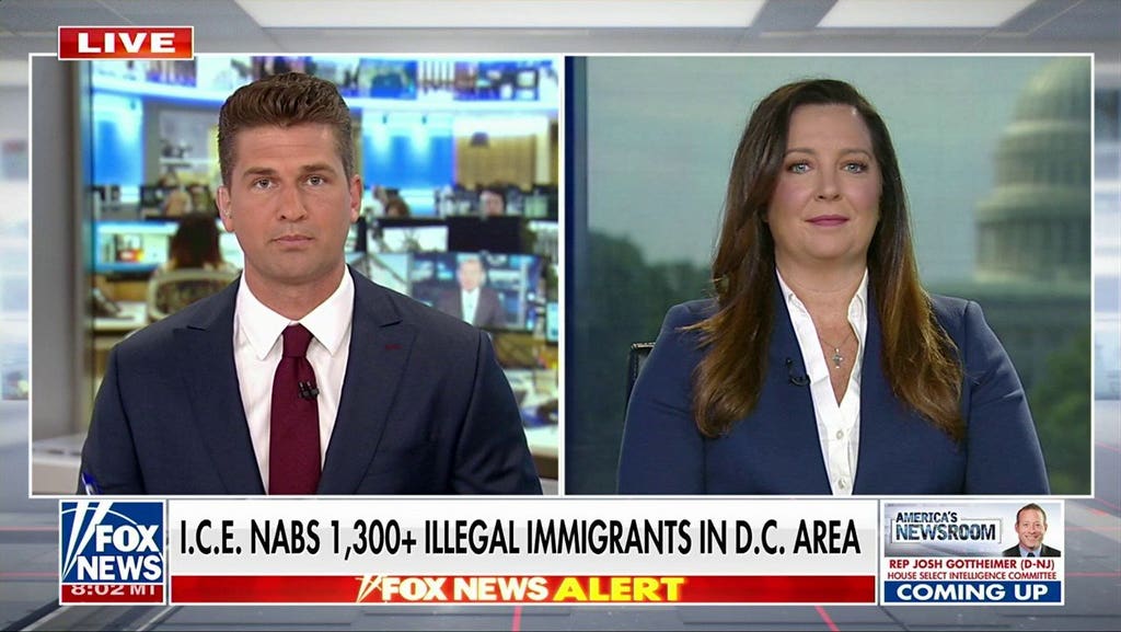 ICE arrests over 1,300 illegal immigrants in DC area sweep