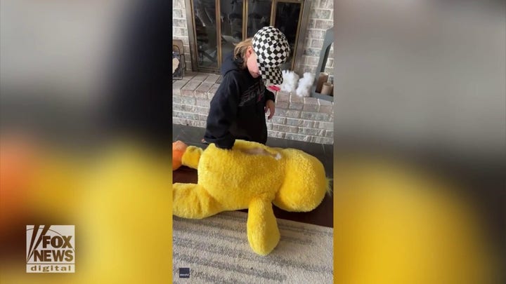 Spring chicken! Watch this boy transform himself 