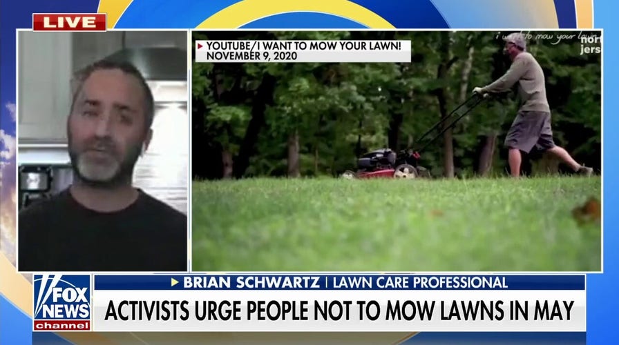 Lawn care professionals fear ‘No Mow May’ will put them out of business